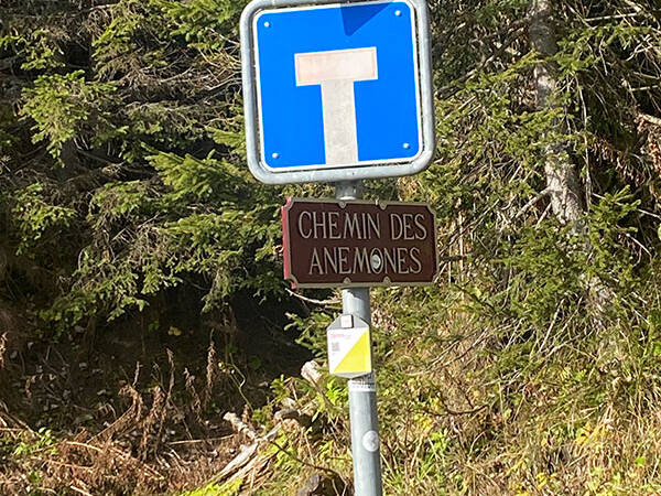 Accès - Le Chalet du Coeur - Valais - Suisse