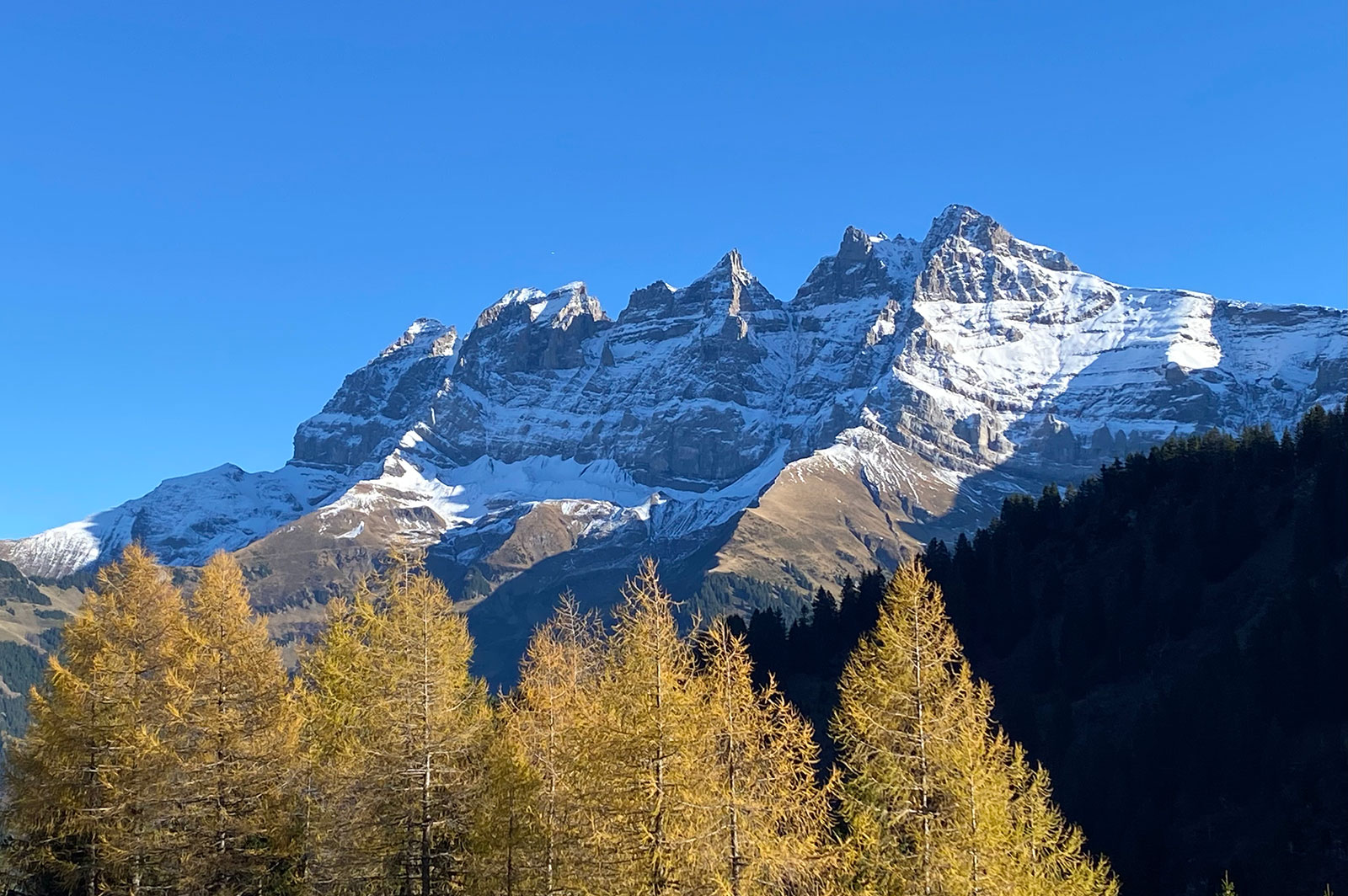 Le Chalet du Coeur - Les Dents du Midi - Valais - Suisse